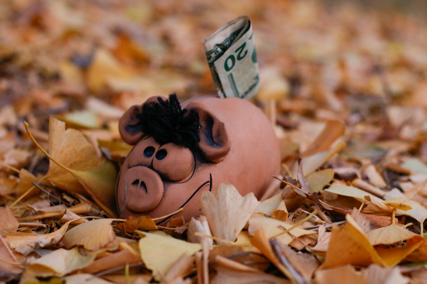 Hucha de terracota con dinero entre hojas de otoño de colores.